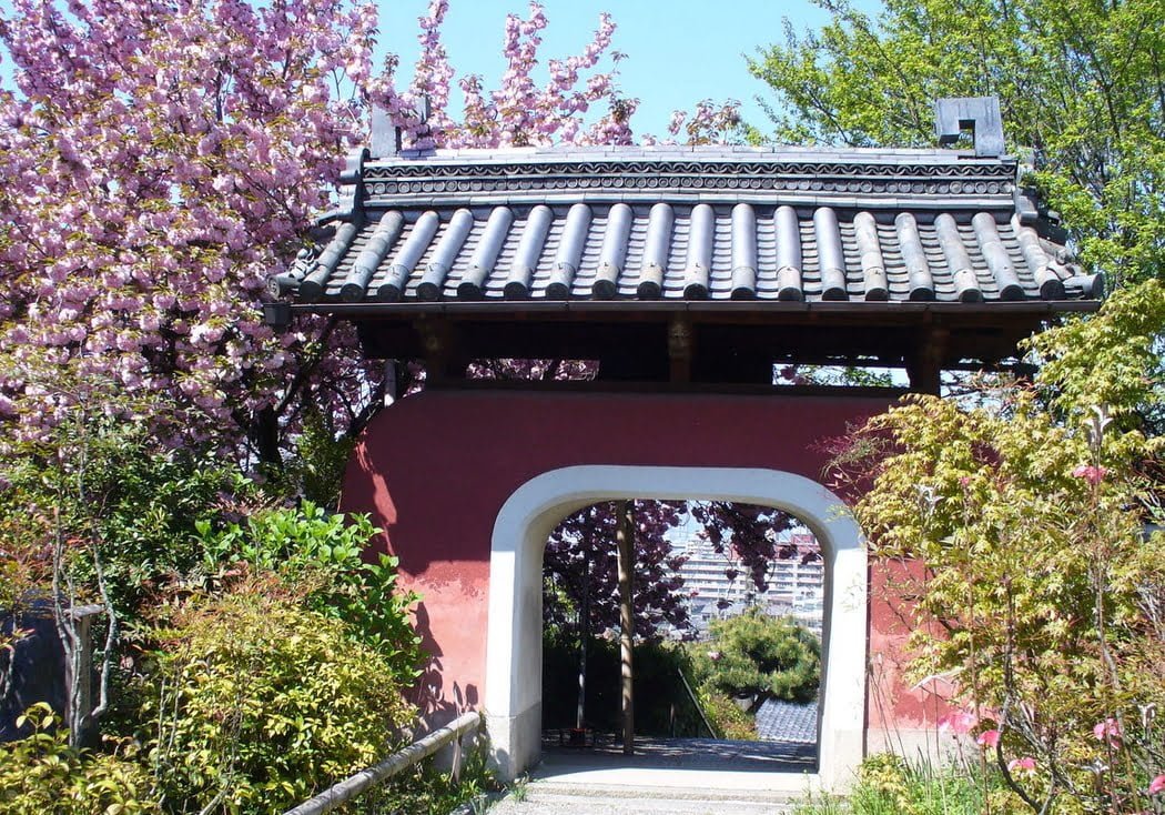 石峰寺の桜